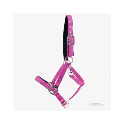 HORSE & GO Licol nylon><noscript><img data-lazyloaded=