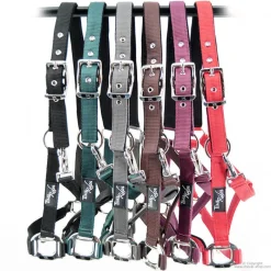 STATIONATA Licol nylon renforcé> Licol Nylon