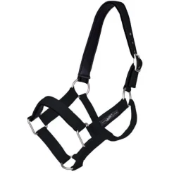 QHP Licol nylon robuste> Longe De Travail|Licol Nylon