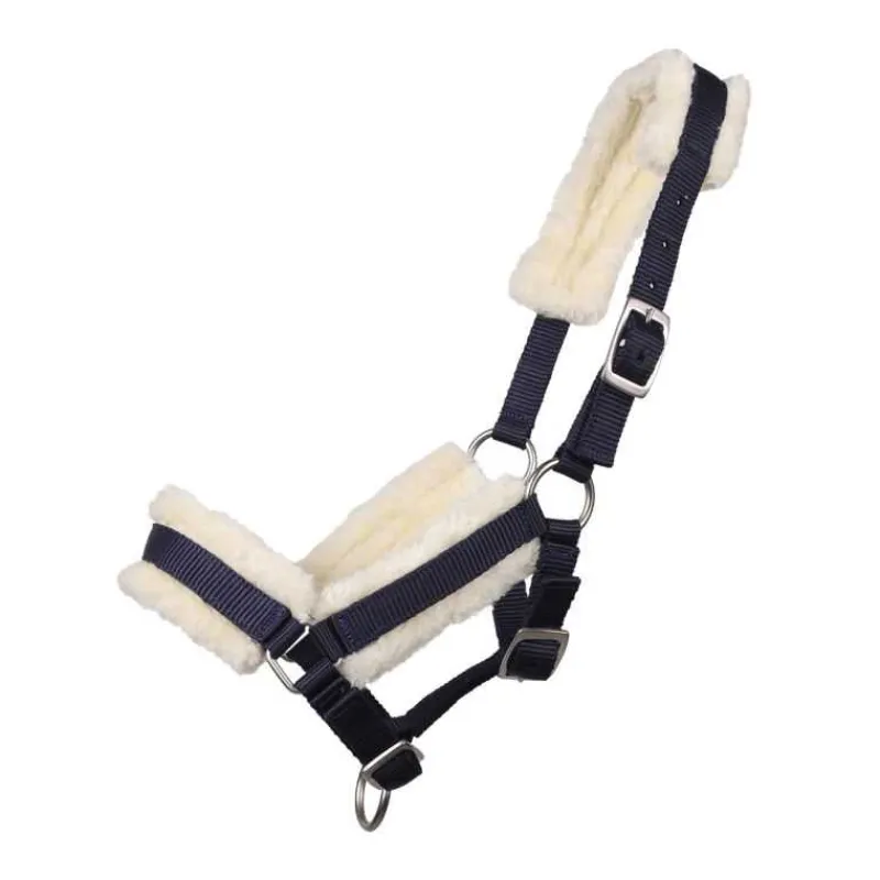 Q-ESSENTIALS Licol poulain avec fourrure> Licol Poulain Et Shetland|Licol Nylon