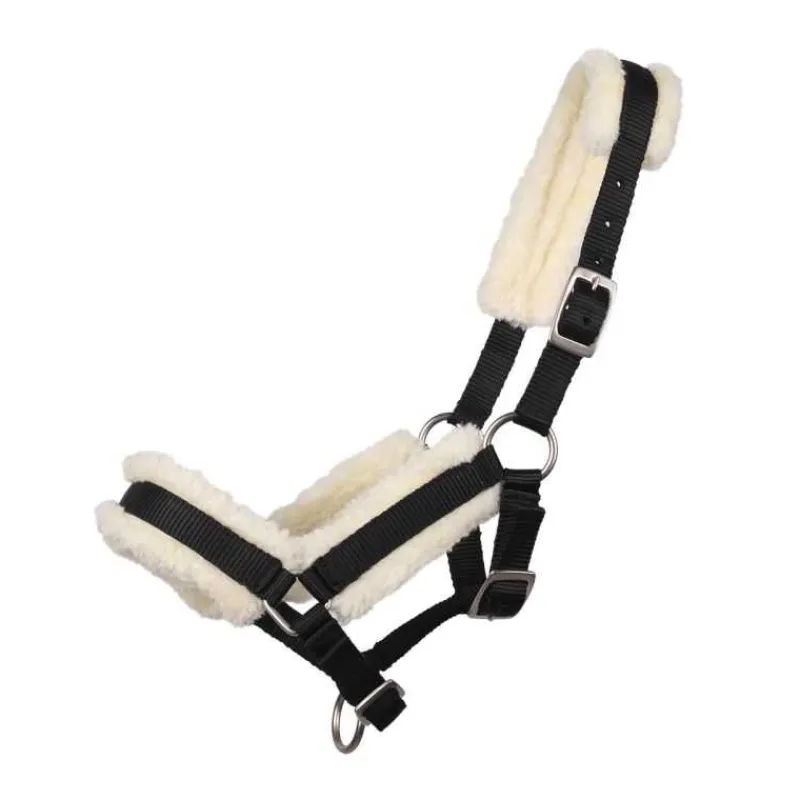 Q-ESSENTIALS Licol poulain avec fourrure> Licol Poulain Et Shetland|Licol Nylon