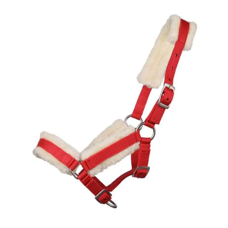 Q-ESSENTIALS Licol poulain avec fourrure> Licol Poulain Et Shetland|Licol Nylon