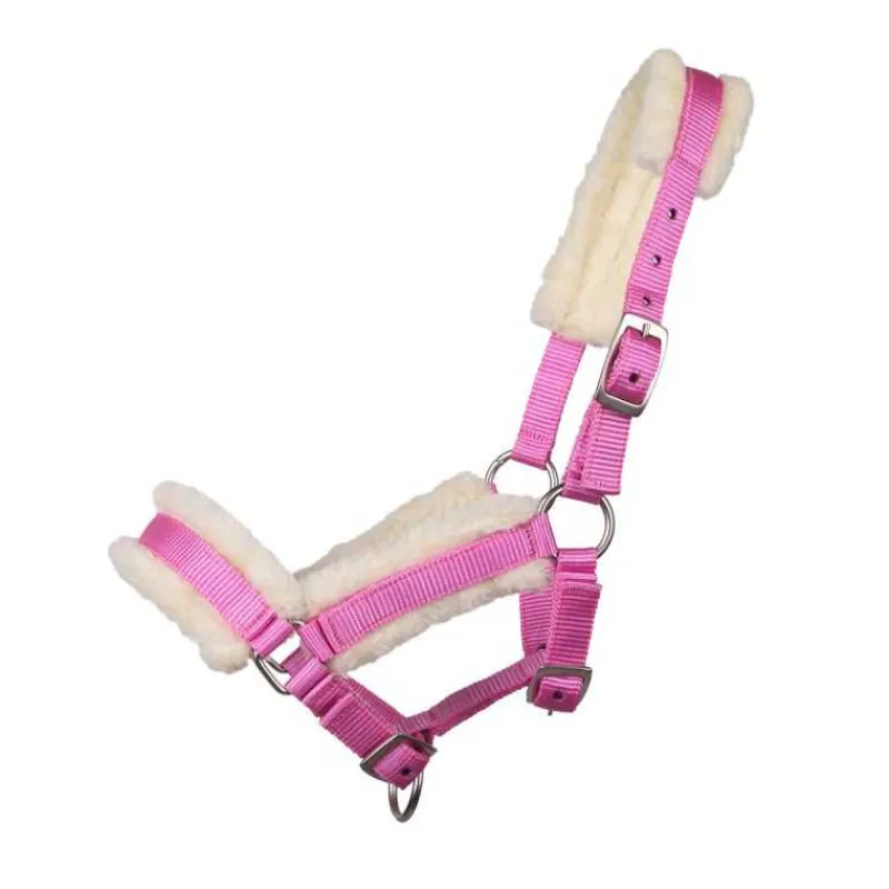 Q-ESSENTIALS Licol poulain avec fourrure> Licol Poulain Et Shetland|Licol Nylon