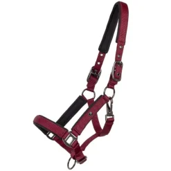 QHP Licol poulain Deluxe> Licol Nylon