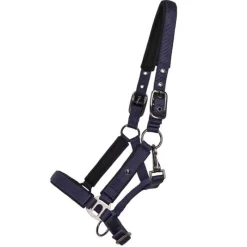 QHP Licol poulain Deluxe> Licol Nylon