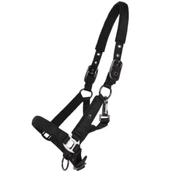 QHP Licol poulain Deluxe><noscript><img data-lazyloaded=