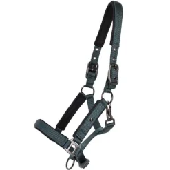 QHP Licol poulain Deluxe><noscript><img data-lazyloaded=