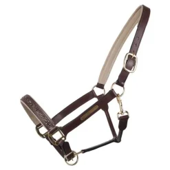 QHP Licol poulain en cuir Lupine> Licol Poulain Et Shetland|Licol En Cuir