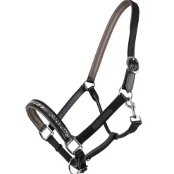QHP Licol poulain en cuir Lupine><noscript><img data-lazyloaded=