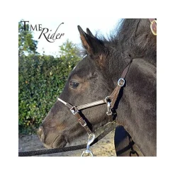 STATIONATA Licol poulain en cuir><noscript><img data-lazyloaded=