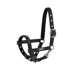 ESKADRON Licol poulain Performance> Licol Poulain Et Shetland|Licol Nylon