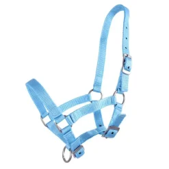 Q-ESSENTIALS Licol poulain><noscript><img data-lazyloaded=