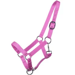 Q-ESSENTIALS Licol poulain Yearling QHP> Licol Poulain Et Shetland|Licol Nylon