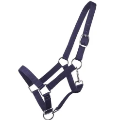 Q-ESSENTIALS Licol poulain Yearling QHP><noscript><img data-lazyloaded=