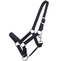 Q-ESSENTIALS Licol poulain Yearling QHP><noscript><img data-lazyloaded=