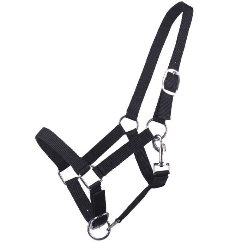 Q-ESSENTIALS Licol poulain Yearling QHP> Licol Poulain Et Shetland|Licol Nylon