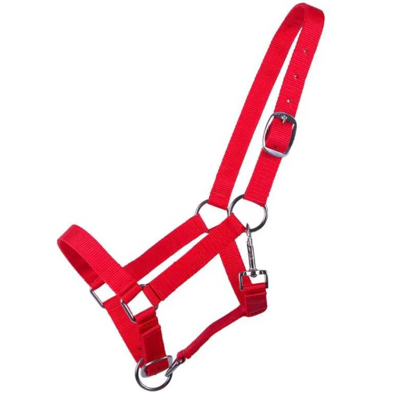Q-ESSENTIALS Licol poulain Yearling QHP> Licol Poulain Et Shetland|Licol Nylon