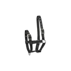 WALDHAUSEN Licol pour poulain triple> Licol Poulain Et Shetland|Licol Nylon