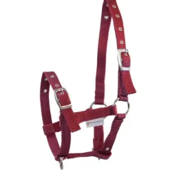 WALDHAUSEN Licol pour poulain triple> Licol Poulain Et Shetland|Licol Nylon