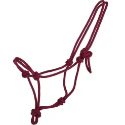 QHP Licol éthologique basic> Licol Éthologique|Licol Éthologique