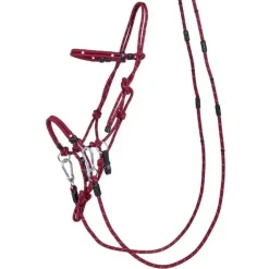 QHP Licol éthologique polyvalent><noscript><img data-lazyloaded=