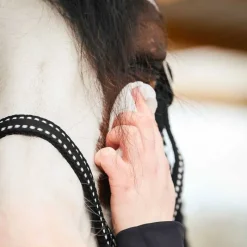 RAVENE Lingettes Easy Shine><noscript><img width=