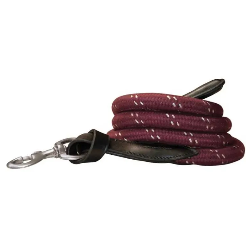 CANTER Longe cuir et corde> Longe