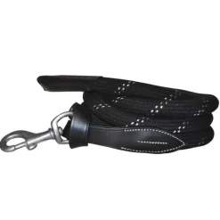 CANTER Longe cuir et corde><noscript><img data-lazyloaded=