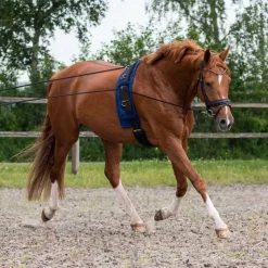 QHP Longues rênes - 16m> Enrênements Spéciaux|Enrênements Spéciaux