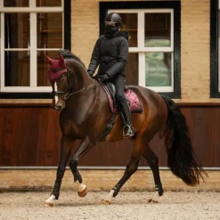 QHP Manteau Rayah manches amovibles><noscript><img data-lazyloaded=