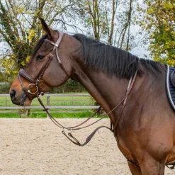 HORSE & GO Martingale à anneaux> Martingale