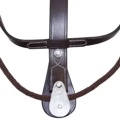 CANTER Martingale Howlett avec poulie><noscript><img data-lazyloaded=