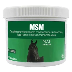 NAF MSM> Locomotion