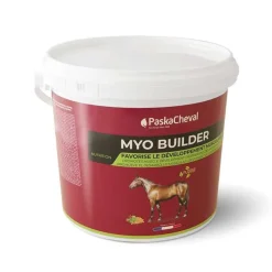 PASKACHEVAL Myo Builder> Performance