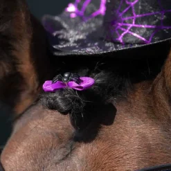 QHP Noeuds de crinière Halloween> Nattage