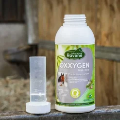 RAVENE Oxxygen> Respiration