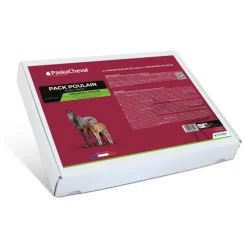 PASKACHEVAL Pack Poulain> Elevage