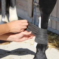 ROBINSON ANIMALHEALTHCARE Pansement Animalintex> Plaie Et Cicatrisation|Les Indispensables