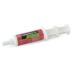 PASKACHEVAL Paskastomac Gel> Etat Général|Digestion