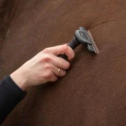 QHP Peigne à mue> Brosses À Crins Et Peignes