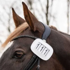QHP Porte Numéro Modeste> Dossards D'Équitation
