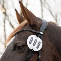 Q-ESSENTIALS Porte numéro Prim QHP> Dossards D'Équitation