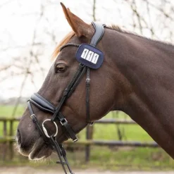 QHP Porte numéro Shine> Dossards D'Équitation