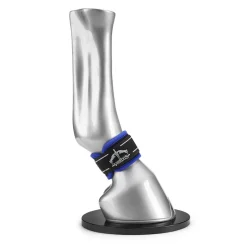 VEREDUS Pro Wrap Magnetik - Protège paturon><noscript><img data-lazyloaded=