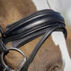 QHP Protection de muserolle Air Mesh> Protections Et Fourreaux