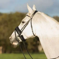 QHP Protège muserolle Madelon> Protections Et Fourreaux