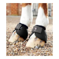 PREMIER EQUINE Protège-glomes> Cloches Et Protèges Glomes