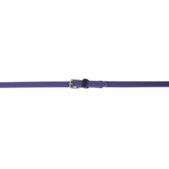 BIOTACK® Rênes Biotack T de T><noscript><img data-lazyloaded=
