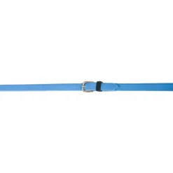 BIOTACK® Rênes Biotack T de T><noscript><img data-lazyloaded=