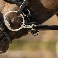 QHP Rênes une main> Rênes Et Arrêtoirs